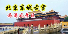 搞鸡视频黄污中国北京-东城古宫旅游风景区